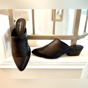 Treasure & Bond Elle Leather Heeled Mules in Black (Pointed Toe) - Size 9.5